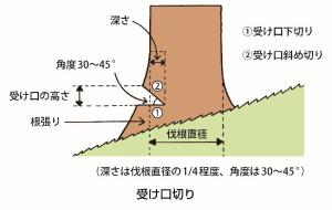 method5