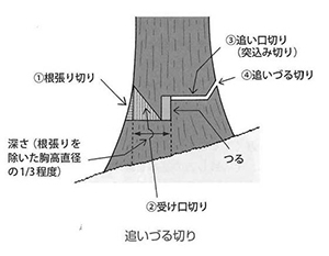 casestudy097_2